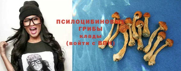 дурь Карталы