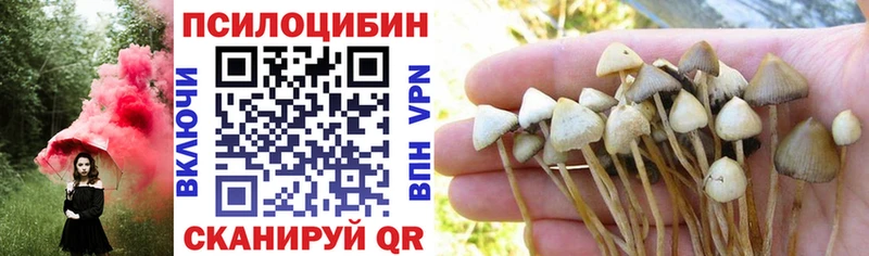 shop наркотические препараты Красный Холм Галлюциногенные грибы Psilocybine cubensis