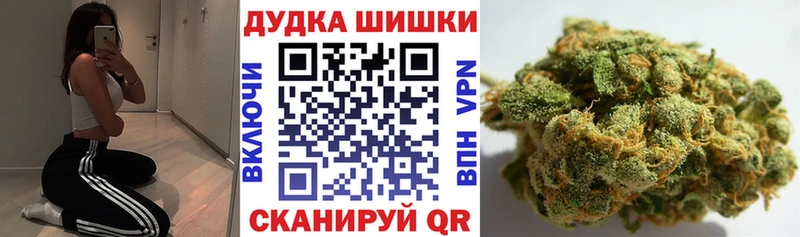 Бошки Шишки план  блэк спрут зеркало  Красный Холм 